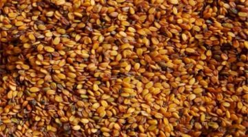 متى يؤكل الرشاد في النفاس