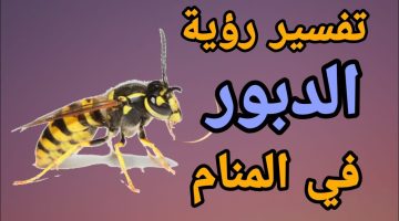 الهروب من الدبور في المنام للمتزوجة