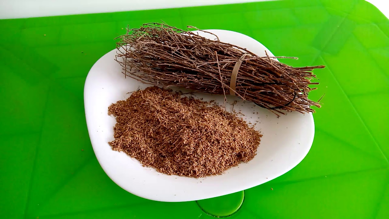 تجربتي مع الشيح للقولون