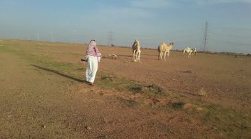 عبارات عن البدو قصيرة