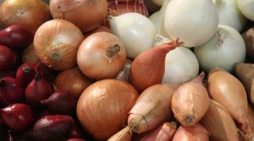 أكل البصل للحامل ونوع الجنين