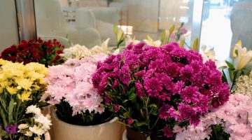 الفرق بين الزهور والورود