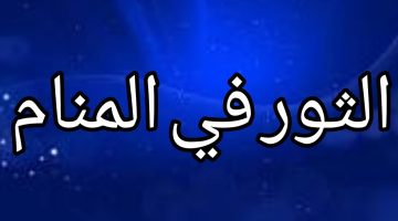 تفسير حلم الثور يطاردني