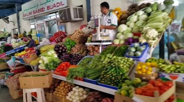 الزيتون فاكهة أم خضار