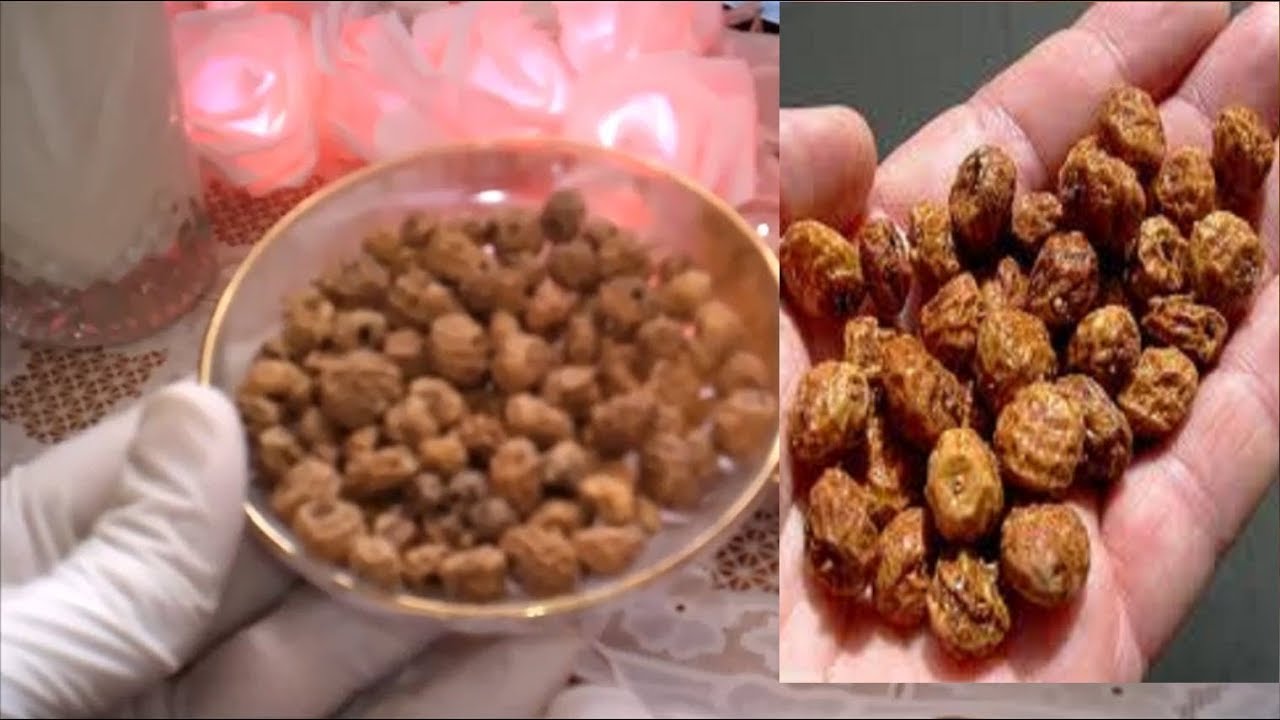 حب العزيز للتسمين جابر القحطاني