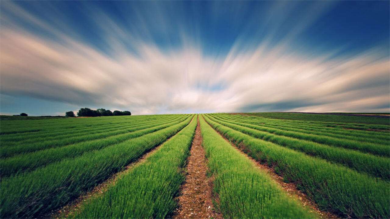 بحث عن البيئة الزراعية جاهز للطباعة