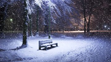 مثل شعبي عن فصل الشتاء