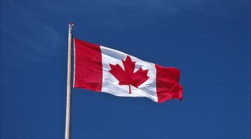 الدراسة عن بعد مجانا في كندا