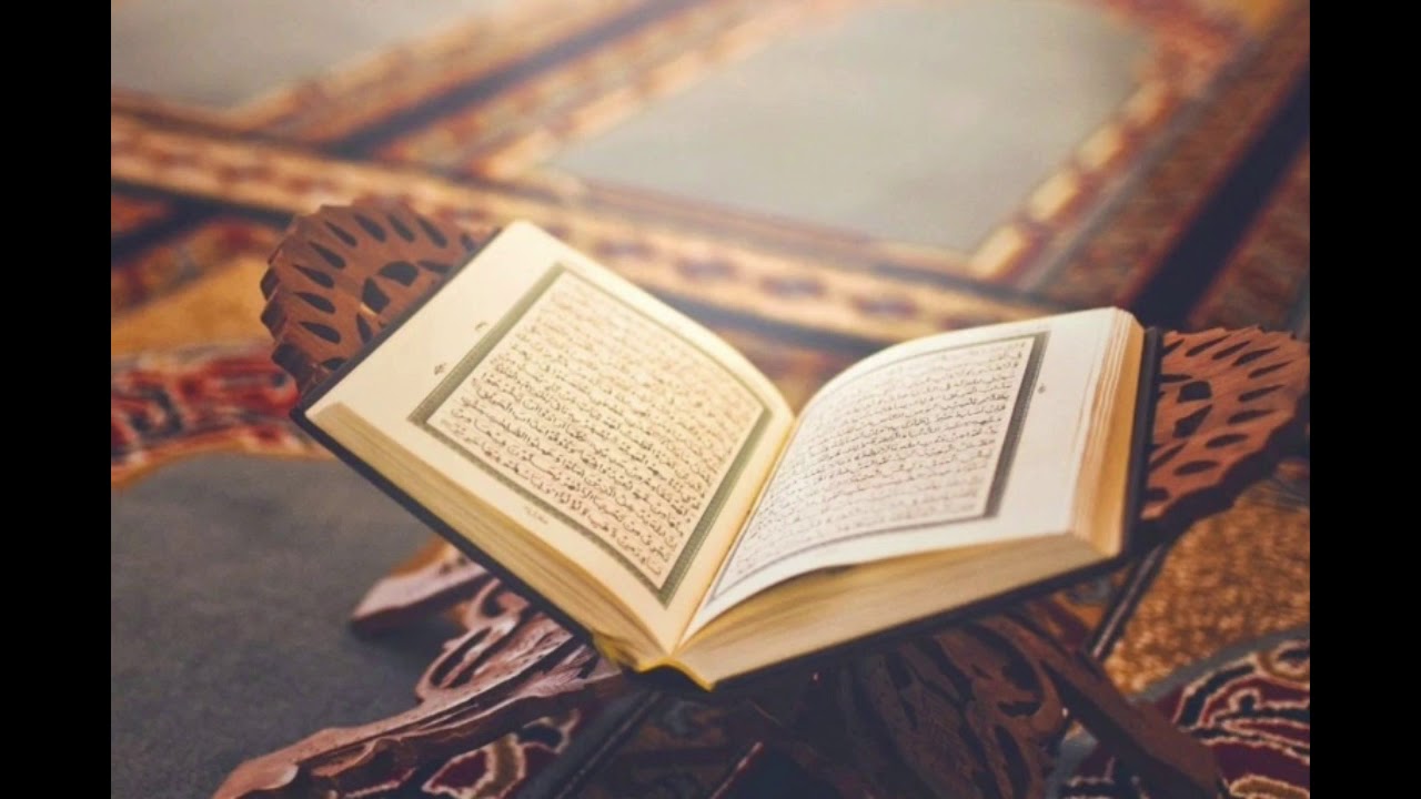 تجربتي مع رقية سعود الفايز