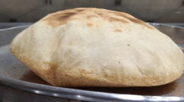 تزيد من فرصة عيش النسل ونموه