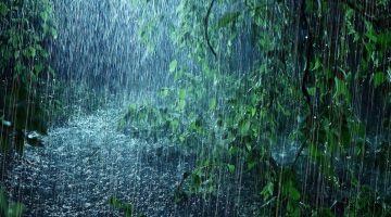 الرد على ارحب تراحيب المطر