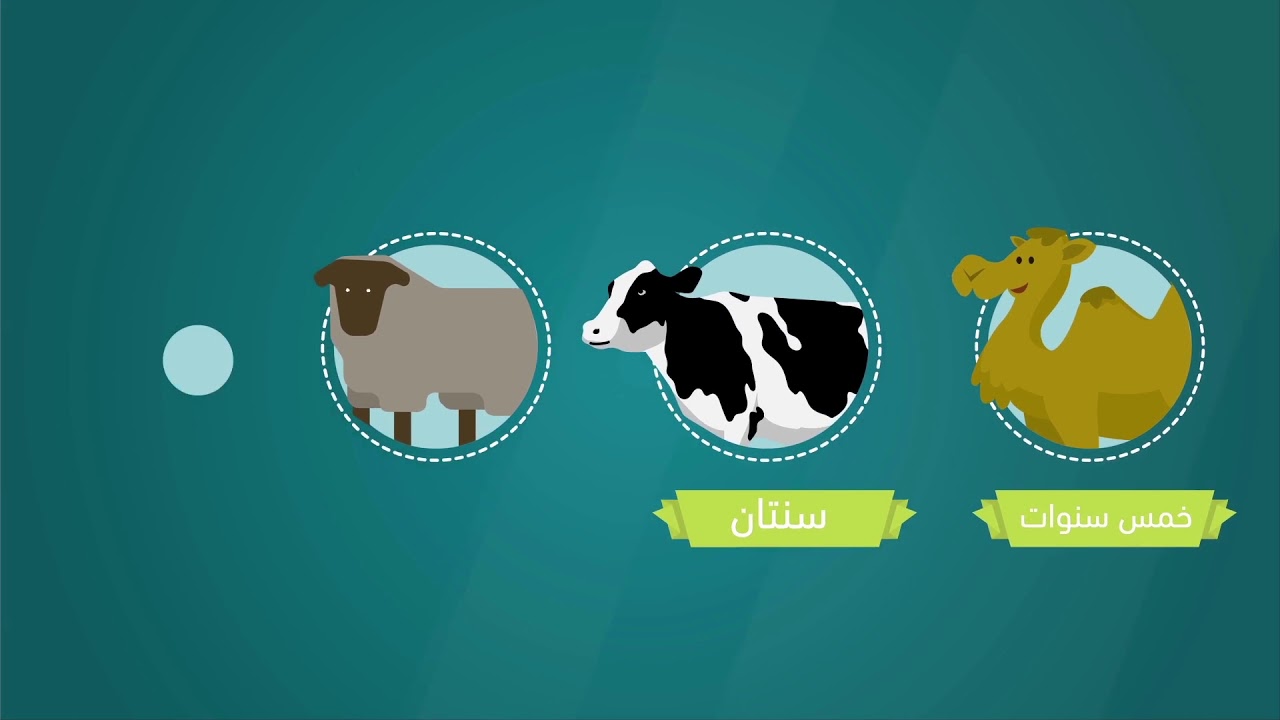 حكم الأضحية في المذاهب الأربعة