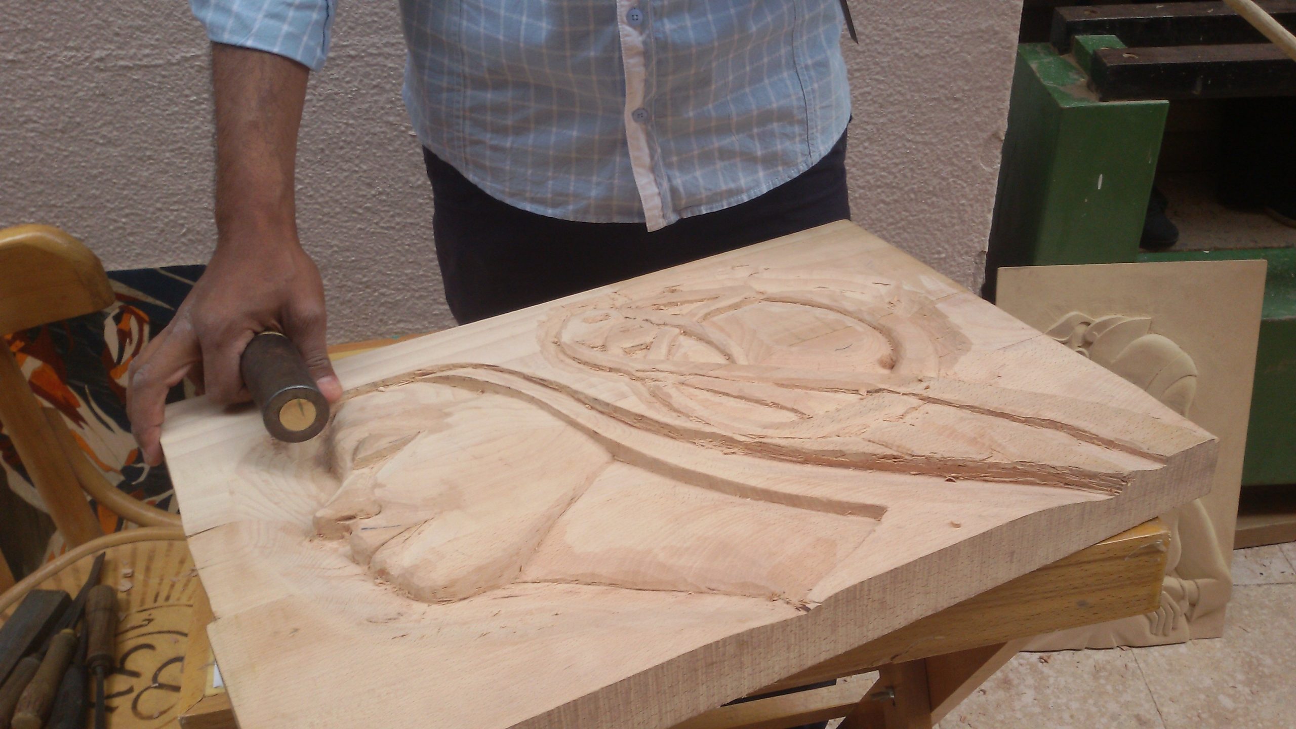 الفرق بين الخشب واللحاء