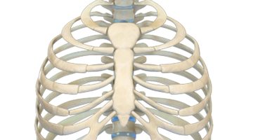 ألم عند الضغط على عظمة القص