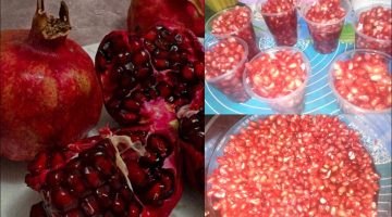 قطف الرمان في المنام للمتزوجة