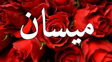 معنى اسم ميسان