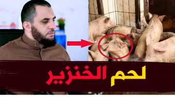 رفض أكل لحم الخنزير في المنام