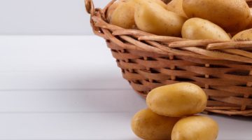 رجيم البطاطس المسلوقة للدكتور بهاء ناجى