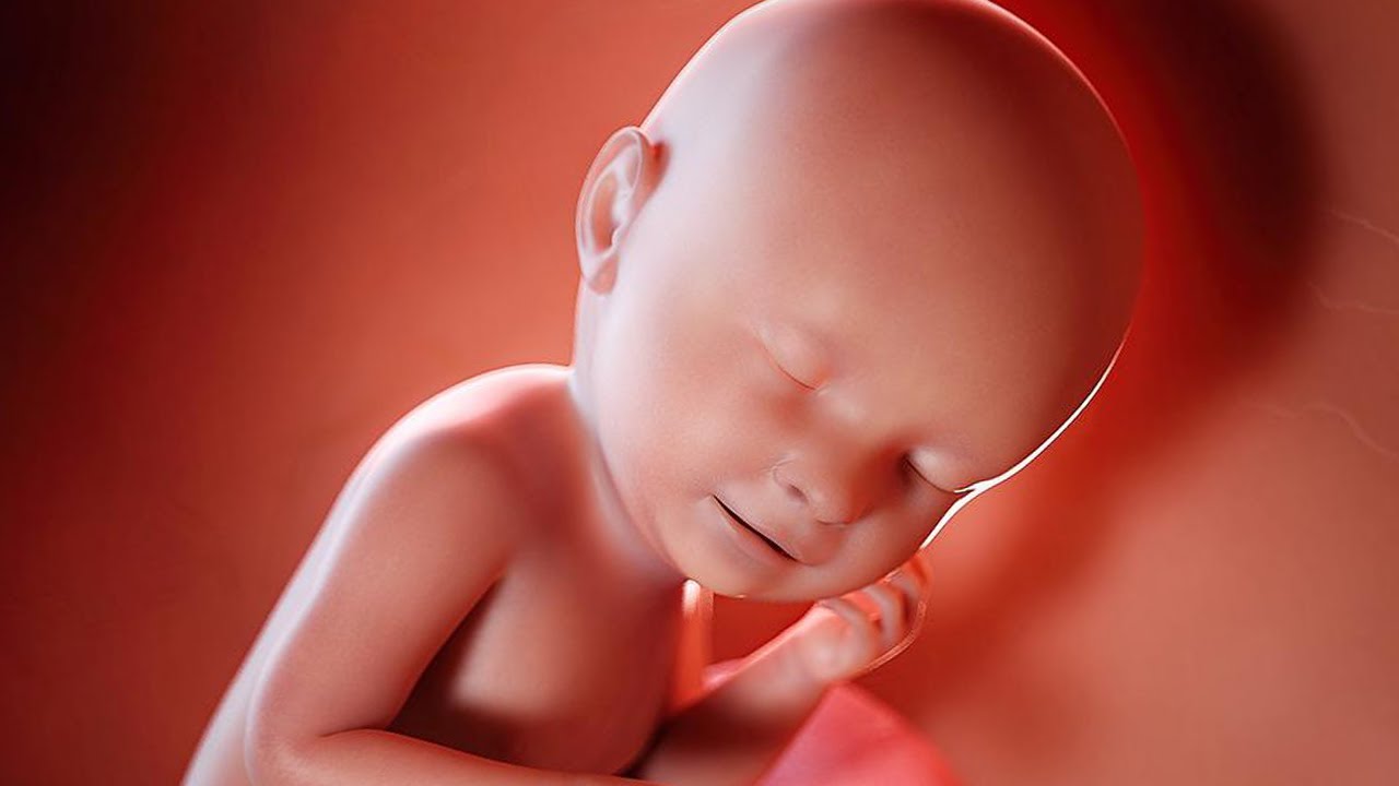 هل الجنين الذكر يسكر رجوله