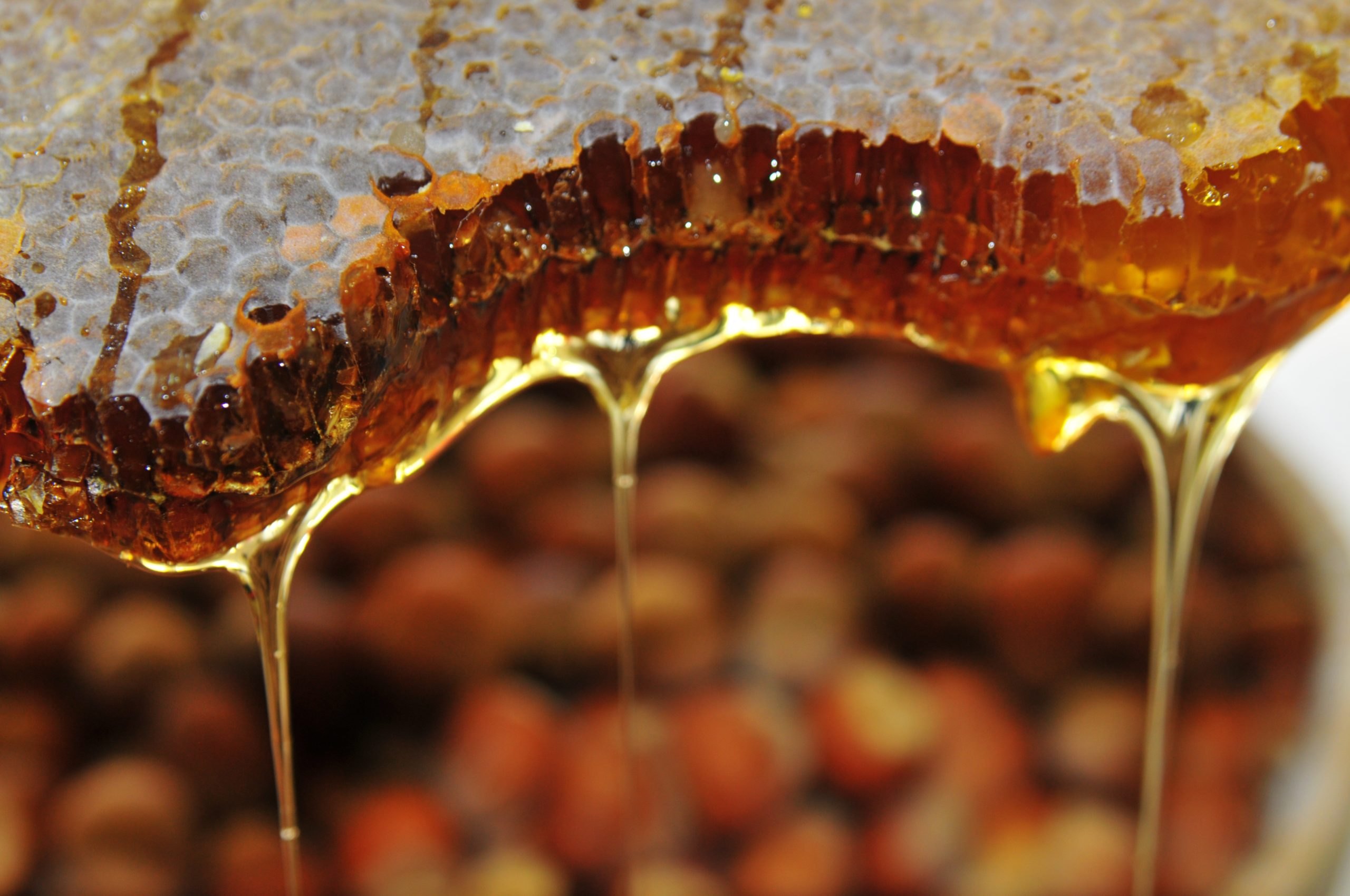 اضرار عسل الابيميديوم التركي للنساء